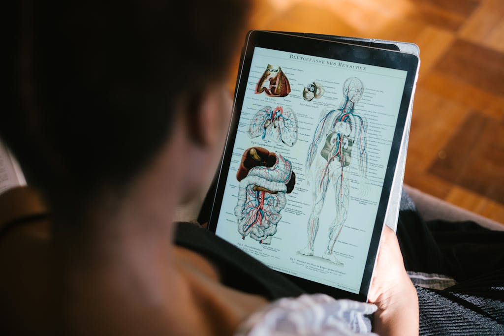 Woman studying anatomy diagrams on tablet indoors for medical education.