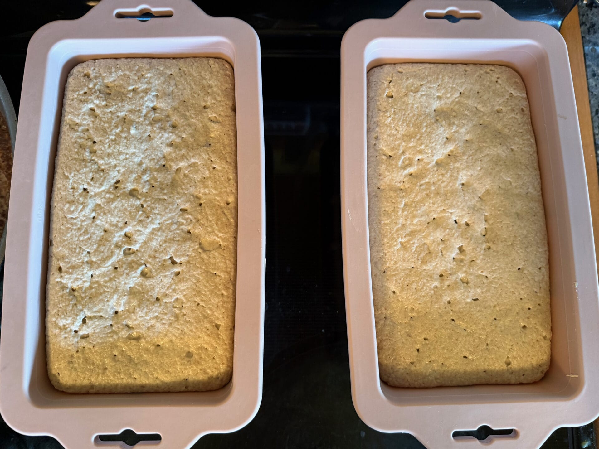 Gluten Free Buckwheat Bread 22.bread dough doubled time to preheat oven