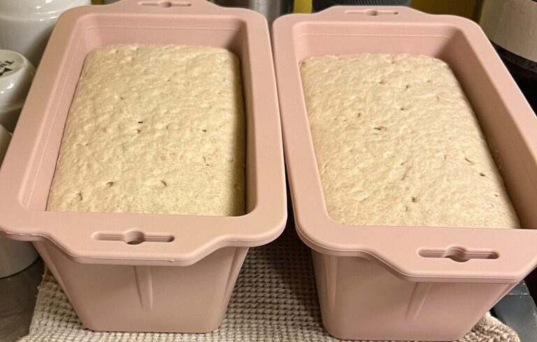 Buckwheat Bread dough risen Buckwheat Bread dough risen